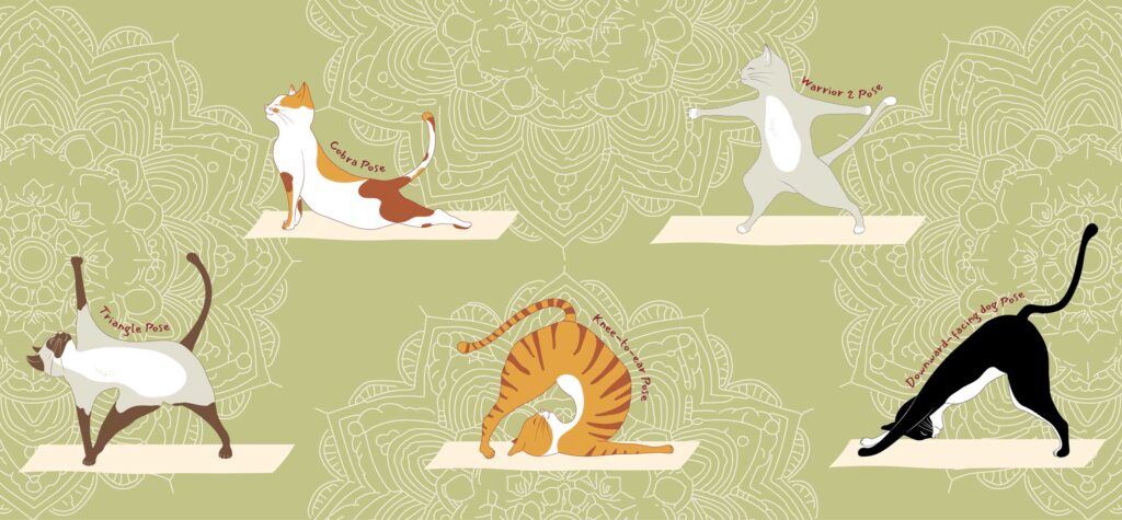 Illustration Yoga-Cats von Birgit Löw für ChaCult